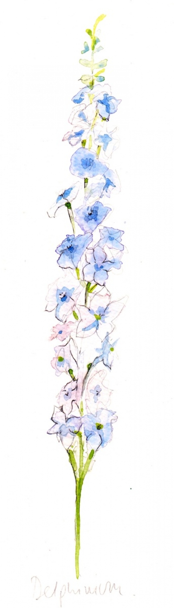 Wedding Flowers Cornwall 5